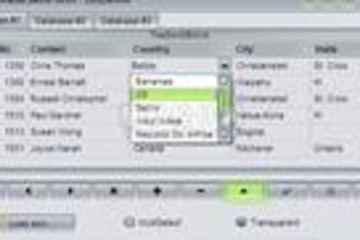 BusinessSkinForm VCL预览：BusinessSkinForm VCL界面预览
