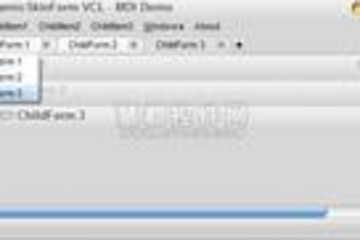 DynamicSkinForm VCL预览：DynamicSkinForm VCL界面预览