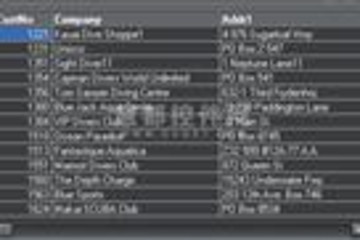SkinAdapter VCL预览：SkinAdapter界面预览
