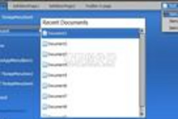 BusinessSkinForm VCL预览：BusinessSkinForm VCL界面预览