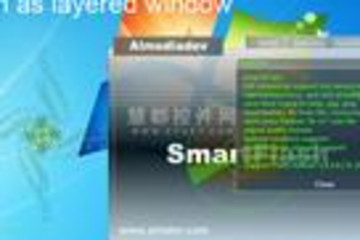 SmartFlash VCL预览：SmartFlash VCL界面预览