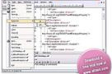 Altova SemanticWorks预览：