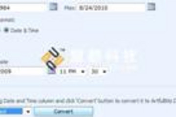 DateTime Column预览：