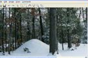 DotImage预览：