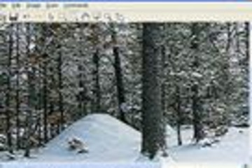 DotImage预览：