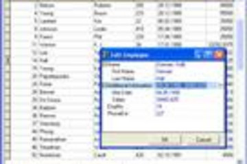 XMLInspector预览：