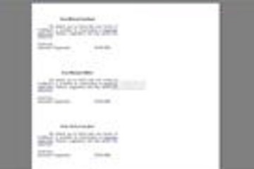 FASTREPORT for COM/ActiveX预览：FASTREPORT for COM/ActiveX-RichText