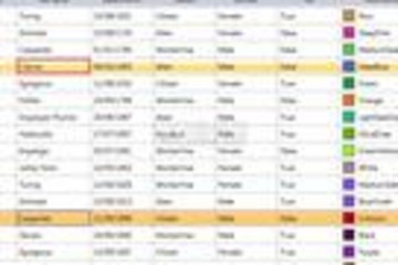 WPF Elements预览：Data grid showing validation behavior