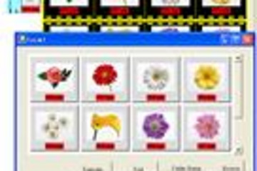 ImageKit ActiveX预览：