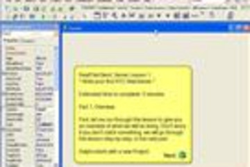 RealThinClient SDK Pro预览：
