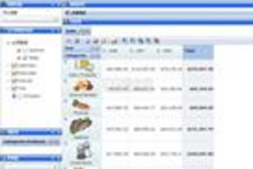 RadarCube ASP.NET & Silverlight预览：