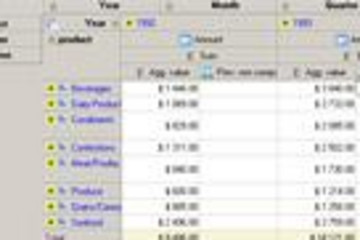 HierCube VCL (OLAP Grid)预览：