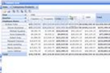OLAP Grid for ASP.NET and Silverlight预览：