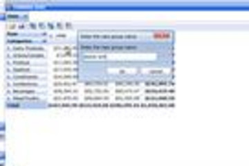 OLAP Grid for ASP.NET and Silverlight预览：