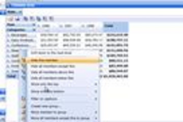 OLAP Grid for ASP.NET and Silverlight预览：