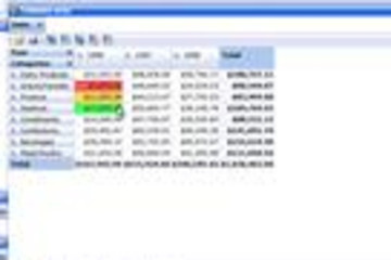OLAP Grid for ASP.NET and Silverlight预览：