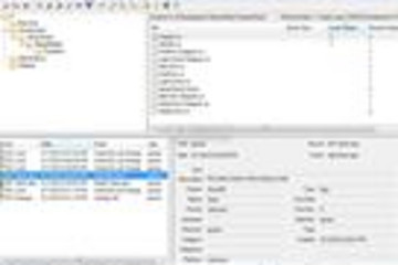 Vault Professional预览：