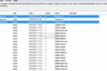 Vault Professional预览：Vault Professional