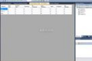 Vault Professional预览：Vault Professional