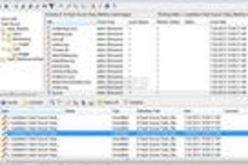 Vault Professional预览：Vault Professional