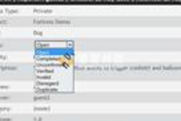 SourceGear Fortress预览：