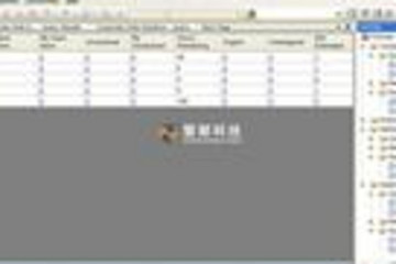 SourceGear Fortress预览：
