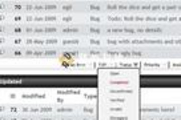 SourceGear Fortress预览：
