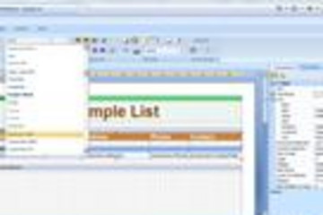Stimulsoft Reports Designer.Web预览：