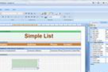 Stimulsoft Reports Designer.Web预览：