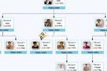 Essential Diagram预览：