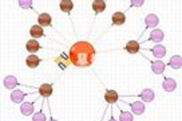 Essential Diagram预览：