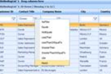 Essential Studio for ASP.NET Web Forms预览：