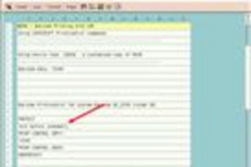 TBarCode/SAPwin预览：