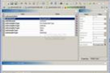 EditiX XML Editor预览：EditiX(XML Editor)界面预览