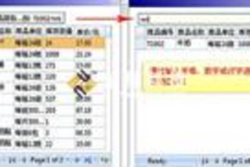 EvQuickInput快速录入插件预览：
