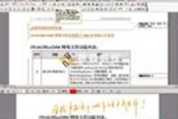 iWebOffice2006全文批注预览：
