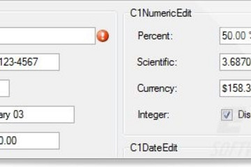 ComponentOne Studio Enterprise预览：input-editing