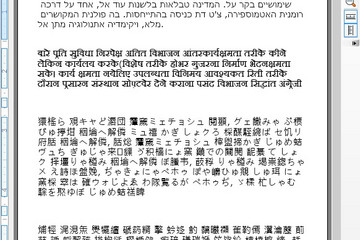 NOV  Rich Text Editor for .NET预览：Foreign language support