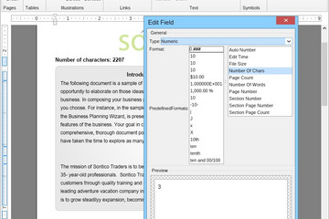 NOV  Rich Text Editor for .NET预览：Fields