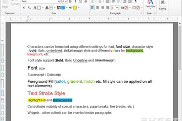 NOV  Rich Text Editor for .NET预览：Character format