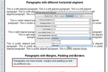 NOV  Rich Text Editor for .NET预览：Paragraph format