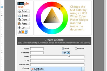 NOV  Rich Text Editor for .NET预览：Unique Features