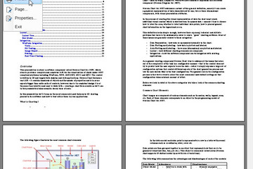 NOV  Rich Text Editor for .NET预览：Printing