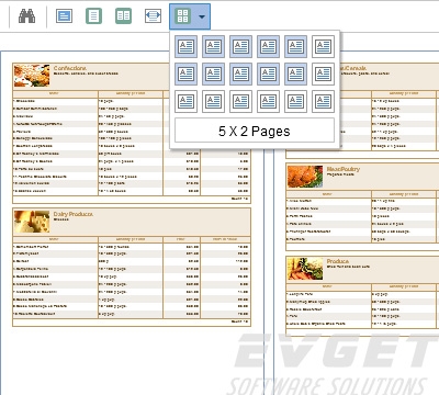 Stimulsoft Reports.PHP预览：View a multi-page report
