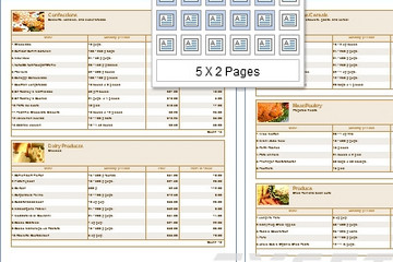 Stimulsoft Reports.PHP預(yù)覽：View a multi-page report