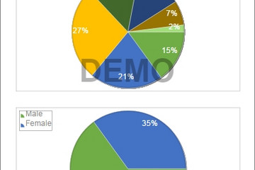 Stimulsoft Reports.JS预览：iPad users