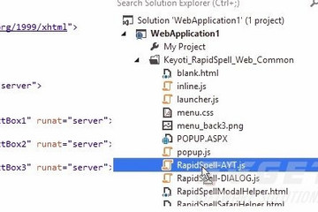 RapidSpell Web ASP.NET预览：