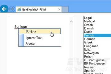 RapidSpell Web ASP.NET预览：