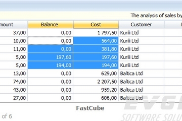 FastCube VCL預(yù)覽：FastCube