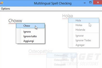 RapidSpell WPF预览：